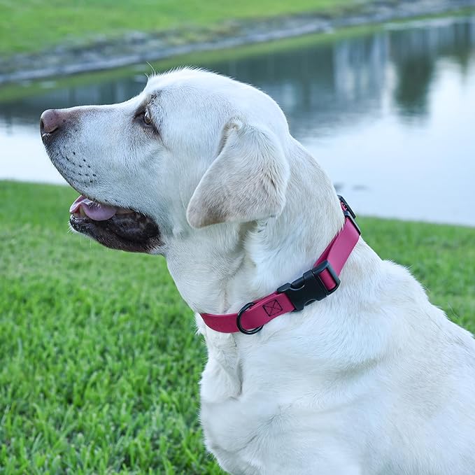 Dogline Biothane Waterproof Dog Collar with Quick Release Buckle Strong Coated Nylon Webbing with Odor- Proof for Easy Care Easy to Clean Fits Small Medium Large Dogs, Magenta Pink 3/4" W 12-19" L-PawvioPets