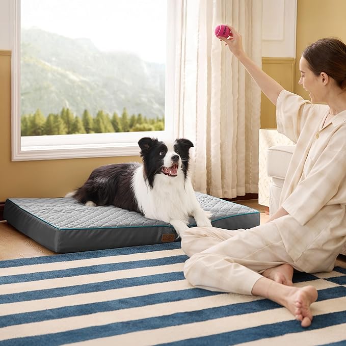 Bedsure Orthopedic Dog Bed Large Sized Dog - Memory Foam Pet Mattress with Removable Washable Cover and Egg Crate Foam, Thick Flat Suitable for Pet Up to 65 lbs, 36x27x3.5 Inches, Grey-PawvioPets
