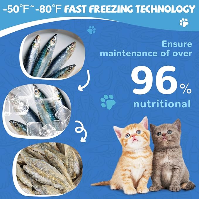 Freeze Dried Minnows Cat Treats – 100% Natural, Single-Ingredient Pet Snacks – Rich in Omega-3, Grain-Free – Healthy Training Rewards & Meal Toppers for Dogs & Cats, 2.8 oz-PawvioPets