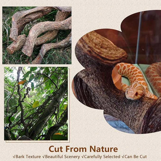 BNOSDM Reptile Climbing Branches Decor,Snake Climbing Branch,Gecko Climb Wood,Lizard Forest Branch,Tank Habitat Tree Trunk Decorations for Bearded Dragons,Chameleons,Spider,Frogs (XL)-PawvioPets