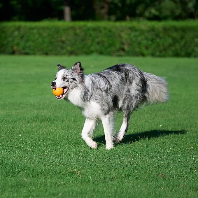 Amazon Basics Dog Toys, Interactive Fetch Rubber Balls, (Pack of 3), 2.5 inch, Blue, Orange-PawvioPets