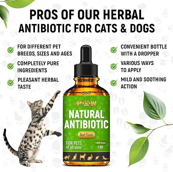 Antibiotics for Dogs | Antibiotics for Cats | Herbal Supplement for Digestion, Breathing, Urination | for Infections, Cough, Allergies | Beef Flavor & Cranberry | for All Pet Breeds | 2 Oz-PawvioPets