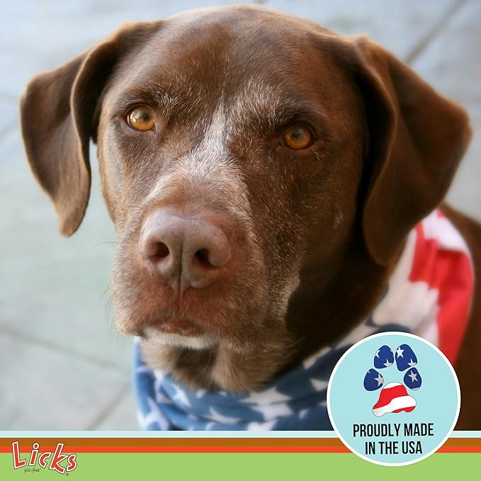 Dog Digestion - Dog Gut Health and Gas Relief - Bloating Relief and Digestion Supplement for Dogs - Dog Health Supplies - Gel Packets - 30 Use-PawvioPets