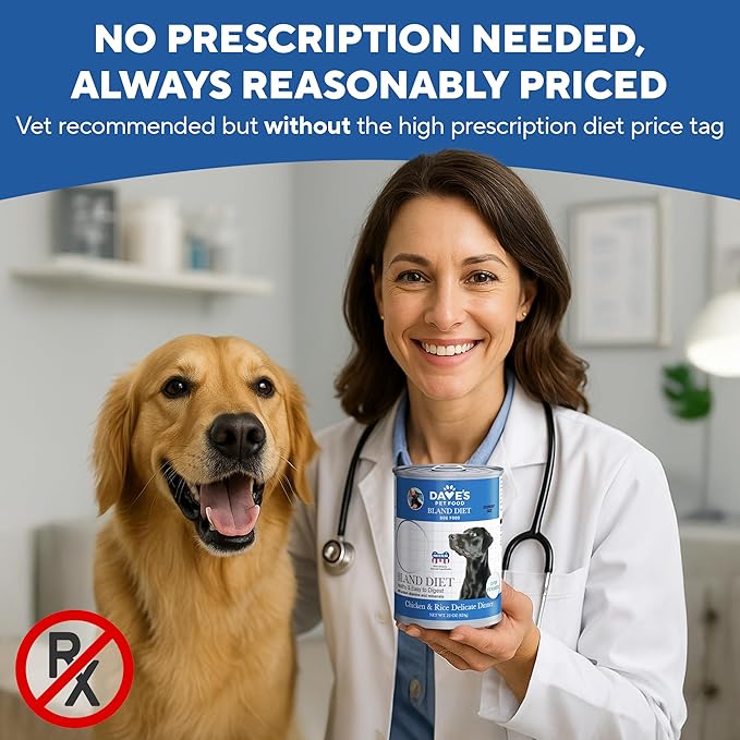Dave's Dog Food Bland Diet Dog Food for Sick Dogs with Upset Stomach (Chicken & Rice), Economy Size for Large Pups or Big Eaters, Sensitive Stomach, 22 oz (Case of 12)-PawvioPets