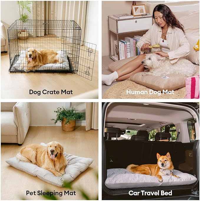 FUNNY FUZZY 2 in 1 Dog Bed Crate Pad Mat, Washable Reversible Floor Sleeping Mats,Fluffy Kennel Pad for Medium Sized Dog,Indoor Cats,Sleeping Mattress, 29.9" × 18.9", Light Grey-PawvioPets