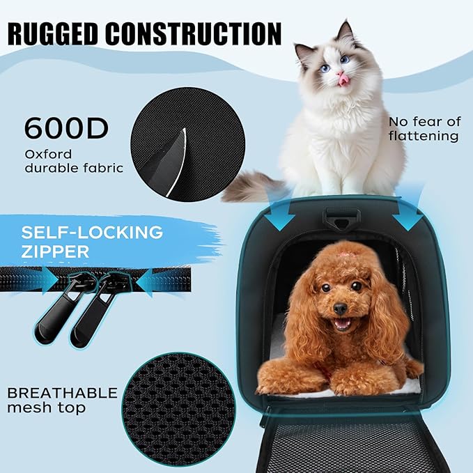 Carriers Soft-Sided Pet Carrier for Cats Dogs Under 15 lbs,TSA Airline Approved with 4 Ventilated Windows(Medium,Black)-PawvioPets