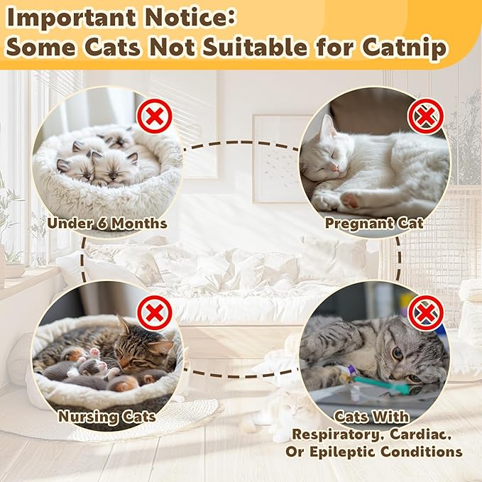 80PCS Catnip - Cat Nip for Cats Natural Dried Catnip Treats Premium Cat Nip Perfect for Toys, Training Rewards, Stress Relief, Freshly Harvested Bag Bulk Pack,2.8OZ-PawvioPets