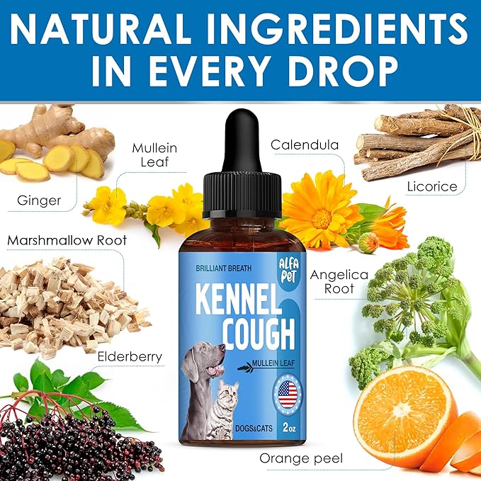 Dog Cough Treatment Liquid • Kennel Cough for Dogs & Cats • for Breathing During All Life Cycle • Marshmallow Root + Mullein Leaf in The Composition • Natural Supplement for All Breeds • 2 Oz-PawvioPets