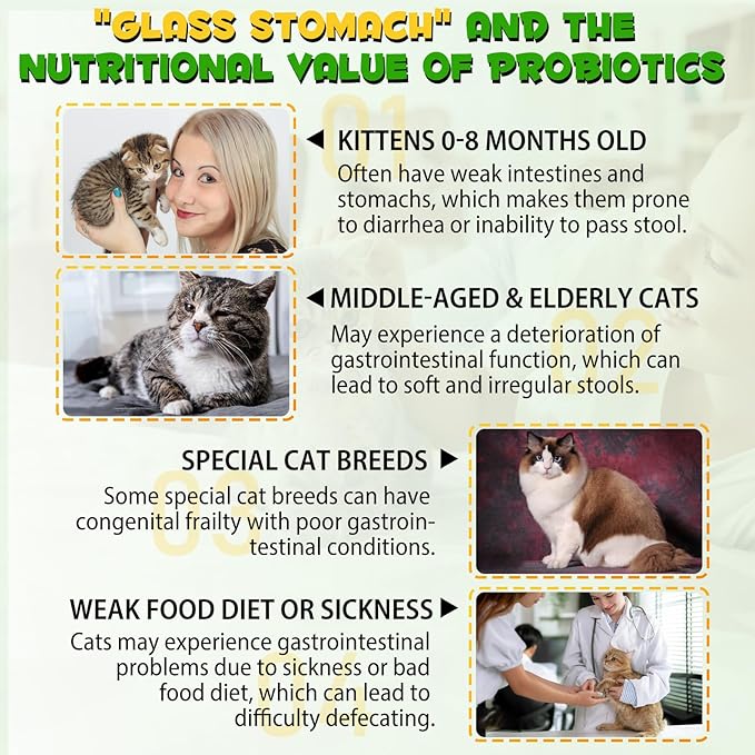 Cat Constipation Relief, Liquid Drops Supports Laxative Relief, Cat Herbal Supplements, Stool Softener Laxative Constipation Relief, Chicken Flavour- 60ml / 2 fl.oz(2PCS)-PawvioPets