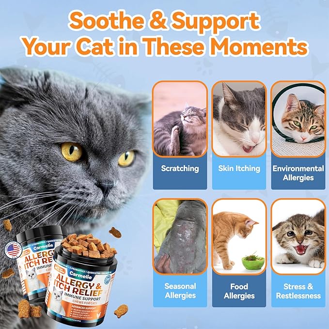 Cat Allergy Relief Chews 200 pcs - Cat Itchy Skin & Paw Licking Relief - Omega 3 & Probiotic for Cats - Anti-Itch Relief for Skin & Coat Health, Immune Support, Seasonal Allergies - Chicken Flavor-PawvioPets