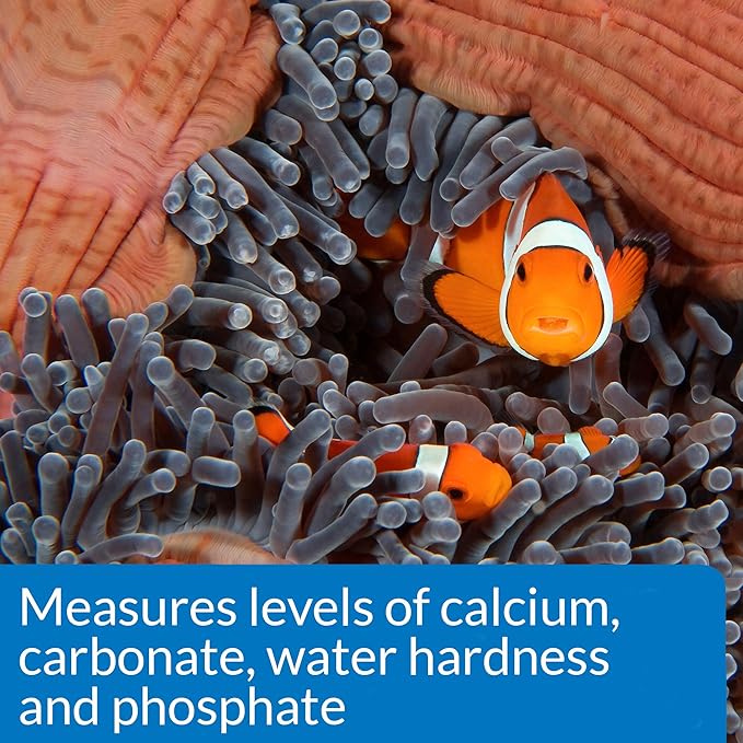 API SALTWATER MASTER TEST KIT 550-Test Saltwater Aquarium Water Test Kit-PawvioPets