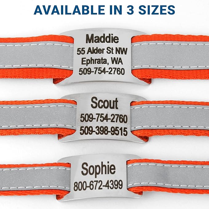 GoTags Reflective Personalized Dog Collar with Nameplate, Adjustable Dog Collar with Custom Engraved Steel Slide On Pet ID Tag, Silent, No Noise Dog Tag for Large Medium or Small (Orange, Medium)-PawvioPets