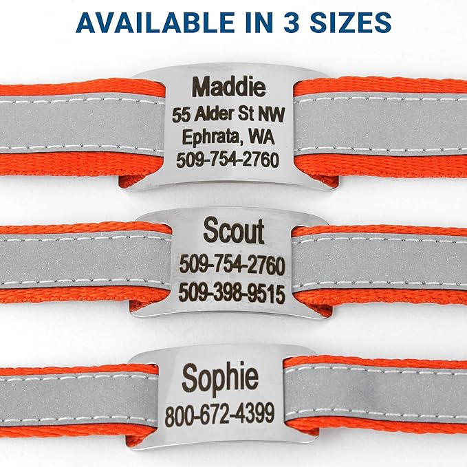 GoTags Reflective Personalized Dog Collar with Nameplate, Adjustable Dog Collar with Custom Engraved Steel Slide On Pet ID Tag, Silent, No Noise Dog Tag for Large Medium or Small (Orange, Small)-PawvioPets