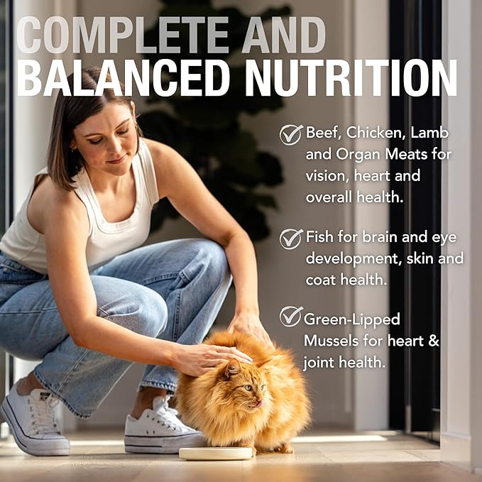 Feline Natural Wet Cat Food Variety Pack - Chicken, Lamb, Salmon & Beef Feast, Grain-Free, 3oz Pouches, New Zealand Made, Assorted Single Serve Pates (12 Pack)-PawvioPets
