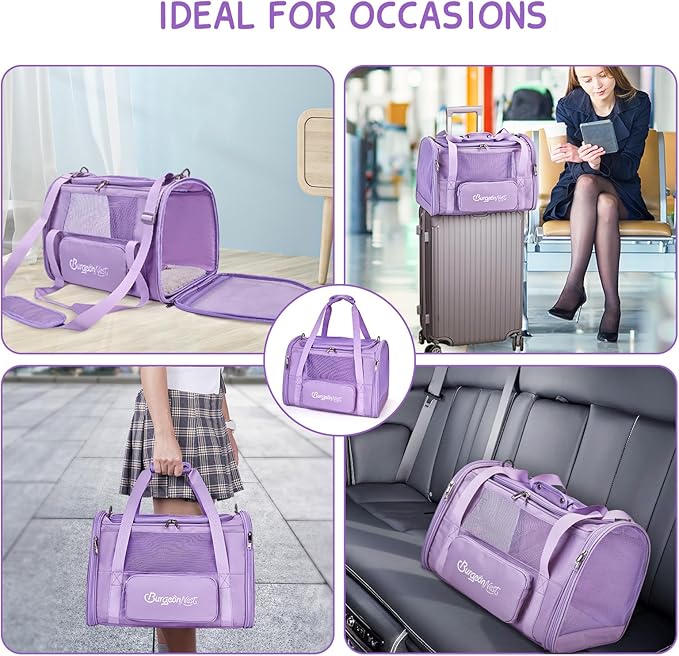 BurgeonNest Cat Dog Carrier, Cat Carriers for Large Medium Cats 20 lbs, Soft Sided Puppy Kitten Pet Carrier Under 25 lbs, Collapsible Travel Cat Carrier with Unique Side Bag (Medium)-PawvioPets