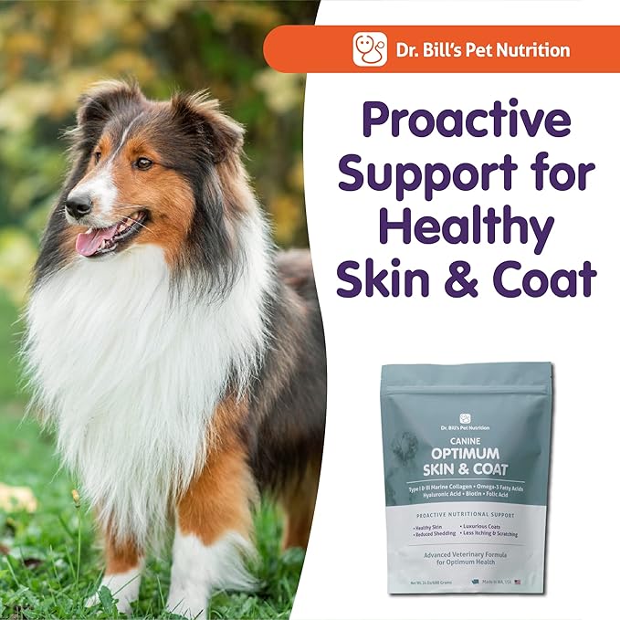 Dr. Bill's Canine Optimum Skin & Coat – Reduces Shedding, Itching, Dry Skin – Allergy Relief for Healthy Fur - Omega 3, Collagen, Biotin & Hyaluronic Acid – 680g Vet-Recommended Dog Supplement-PawvioPets