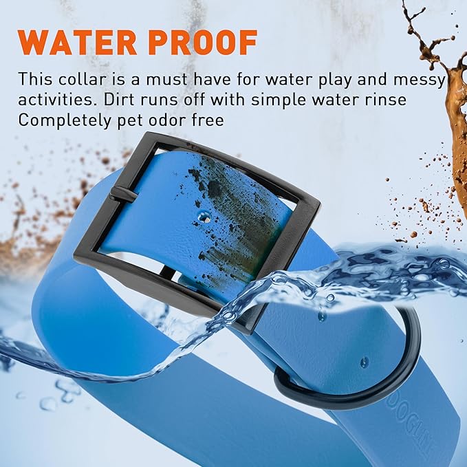 Dogline Biothane Waterproof Dog Collar Strong Coated Nylon Webbing with Black Hardware Odor- Proof for Easy Care Easy to Clean High Performance Fits Small Medium or Large Dogs, Cerulean Blue-PawvioPets