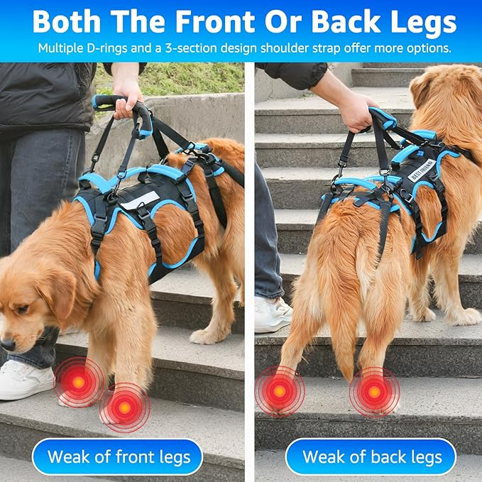 Dog Lift Harness for Large Male Dogs, 2-in-1 Detachable Support Harness, Full Body Carrying with 4 Handles, Dog Sling for Large Dogs Hind Leg Support(Black, X-Large)-PawvioPets