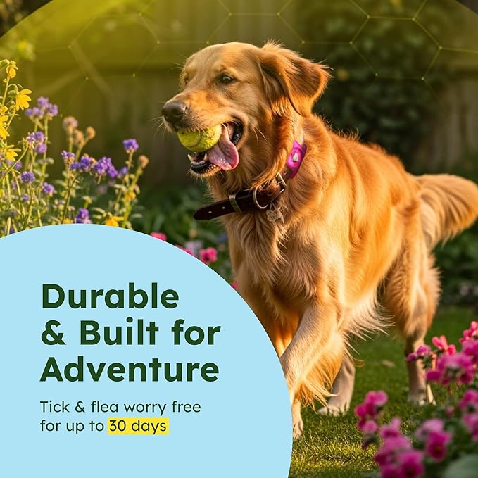 BugMD Paw Guardian Flea & Tick Pendant (2-Pack) with AirTag Holder – Plant-Based Flea & Tick Prevention for Dogs – Pet Collar Tag & GPS Tracker Holder for Dogs – Pink-PawvioPets