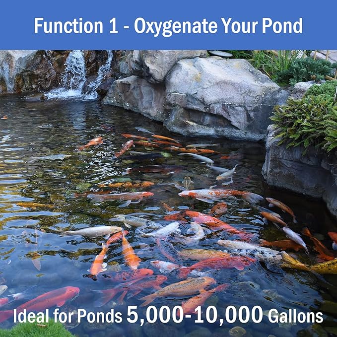 AquaMiracle All-in-One Koi Pond Aerator for Outdoor Ponds, Pond Air Pump Pond Aeration System with Self-Sinking Airline Flow Control Rubber Air Diffuser-PawvioPets