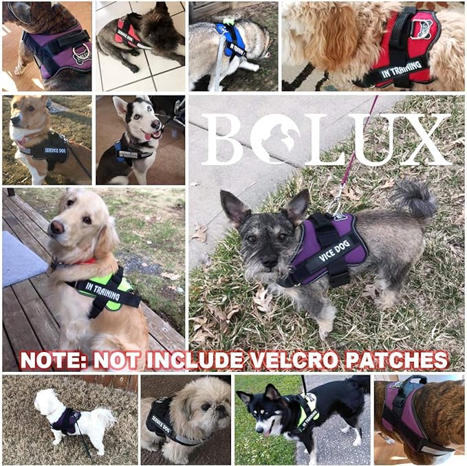 Bolux Dog Harness, No-Pull Reflective Dog Vest, Breathable Adjustable Pet Harness with Handle for Outdoor Walking - No More Pulling, Tugging or Choking (Red, M)-PawvioPets