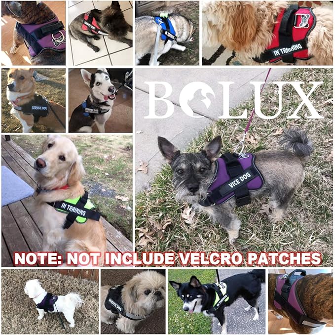 Bolux Dog Harness, No-Pull Reflective Dog Vest, Breathable Adjustable Pet Harness with Handle for Outdoor Walking - No More Pulling, Tugging or Choking (Rose red, S)-PawvioPets