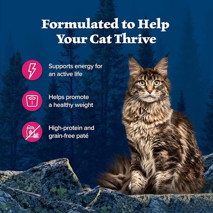 Blue Buffalo Wilderness Natural High-Protein Grain-Free Wet Food for Adult Cats, Salmon Paté, 3-oz. Cans, 24 Count-PawvioPets