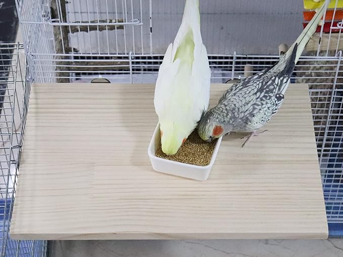 15.7×10.4 Inches Large Bird Perch Stand Platform, Natural Wooden Small Animals Cage Accessories, Rectangle Stand Perch Shelf for Parrot Parakeet Cockatiel Rat Hamster Guinea Pig Conure Chinchillas-PawvioPets