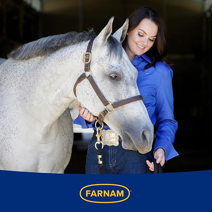 Farnam Gastric Health Pellets, Daily Gut and Digestive Health Supplement for Horses Helps Maintain a Healthy Gastrointestinal Tract and Gut Function-PawvioPets
