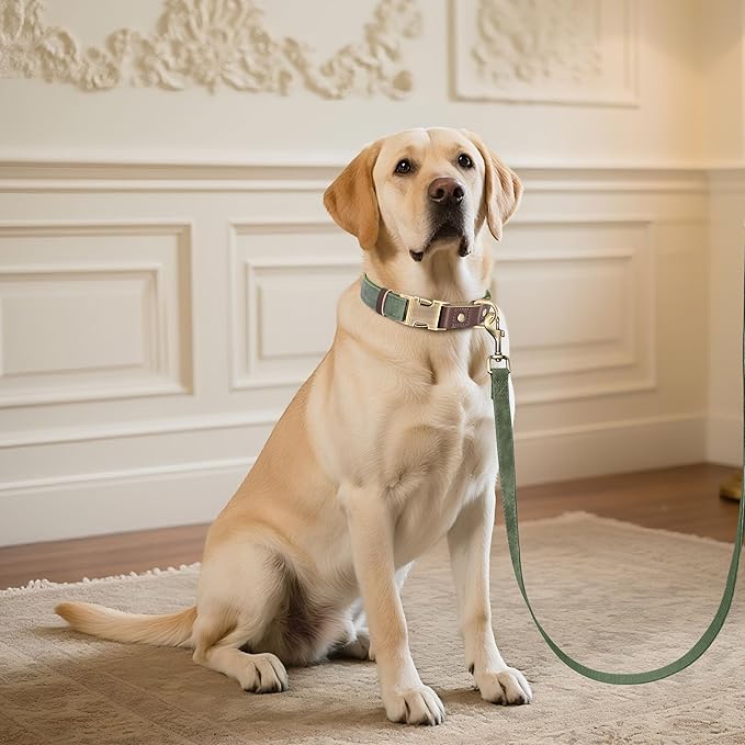 Didog Soft PU Leather Dog Collar for Large Dogs,Classic Adjustable Dog Collars with Quick Release Metal Buckle,Easy Clean and Comfortable with Nylon Lining,Green,L Neck 15-23"-PawvioPets