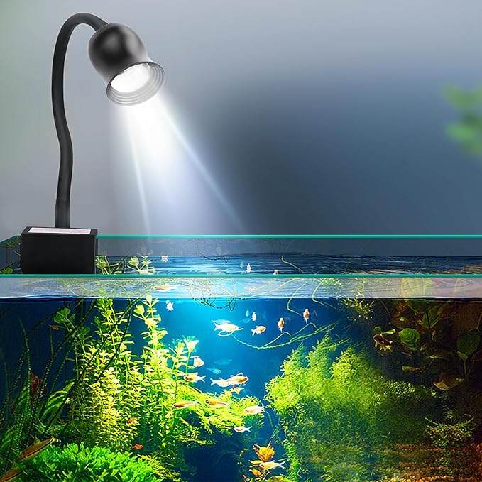 Aquarium Focus Light for Open Fish Tank Indoor LED Light Big Clip Lamp Adjustable Focus (White-Yellow with Timer)-PawvioPets