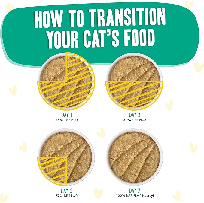 B.F.F. PLAY - Best Feline Friend Paté Lovers, Aw Yeah!, Chicken & Turkey Tiptoe with Chicken & Turkey, 3oz Pouch (Pack of 12)-PawvioPets