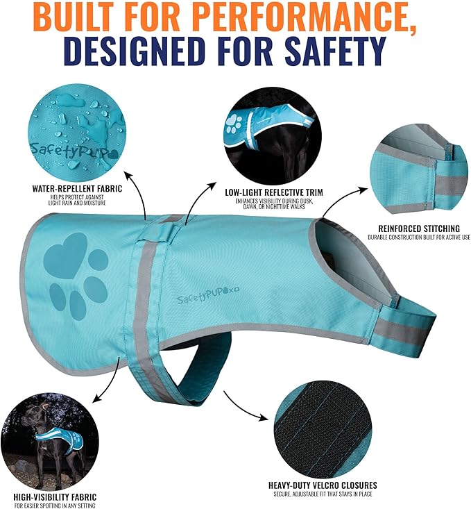 Dog Reflective Vest – Hi-Vis Fluorescent Visibility That Helps to Safeguard Your Pet On/Off Leash in Urban & Rural Areas (Teal, X-Small)-PawvioPets