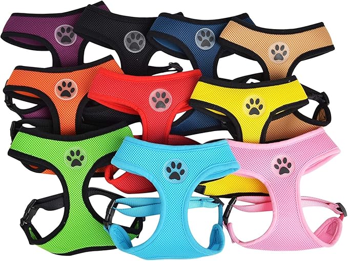 BINGPET Dog Vest Harness -Light Weight Breathable Sports Mesh - Pet Adjustable Harness Puppy Padded Harnesses Dog Vest Harness for Small Dogs-PawvioPets