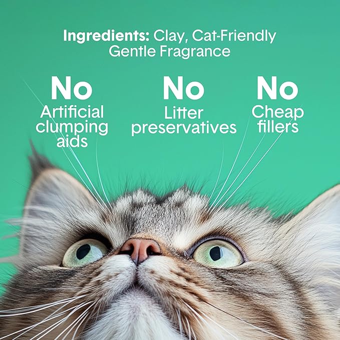 Boxiecat Gently Scented Premium Clumping Clay Cat Litter-16-Pounds-PawvioPets