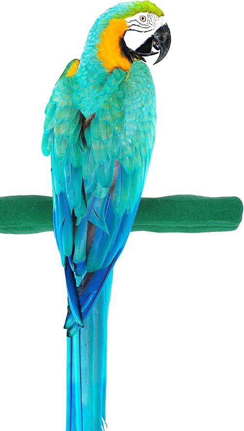 Comfort Grip Safety Perch for Bird Cages - Pedicure Perch for Birds to Keep Nails and Beaks in Top Condition - Safe Easy to Install Bird Cage Accessories - L 13"-PawvioPets