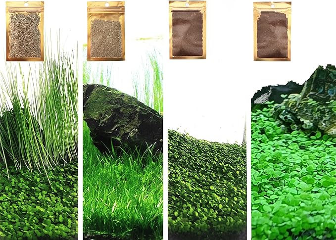 4 Pack Aquarium Plant S.e.e.ds, no Artificial Plastic Plant, Fish Tank Live Grass for All Substrate (0.36ozTiny+0.36oz Long+0.36oz Short+0.36oz Big Dual) ZQV-005-PawvioPets