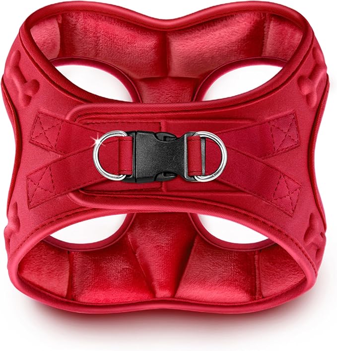 Comfort fit Step-in Dog & Puppy Harness - Comfortable All Weather Dog Vest Harness: Adjustable, Soft Padded, Easy to Put-on for Small, Medium-Sized Dogs.-PawvioPets