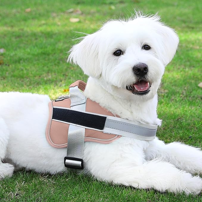 Bolux Dog Harness, No-Pull Reflective Dog Vest, Breathable Adjustable Pet Harness with Handle for Outdoor Walking - No More Pulling, Tugging or Choking-PawvioPets