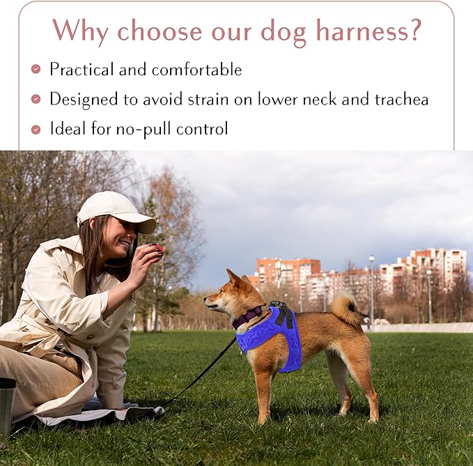 Comfort Fit No Pull Dog Harness – Adjustable Step-in Vest for Small, Medium & Large Dogs, Soft Padded with Leash Clips, Reflective Straps & Handle-PawvioPets