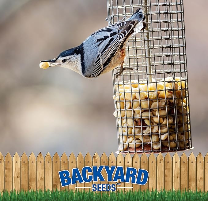 CountryMax Backyard Seeds Shelled Whole Peanuts for Woodpeckers, Birds, Squirrels & Wildlife – Premium Wild Animal Food, 10 lbs Bag-PawvioPets