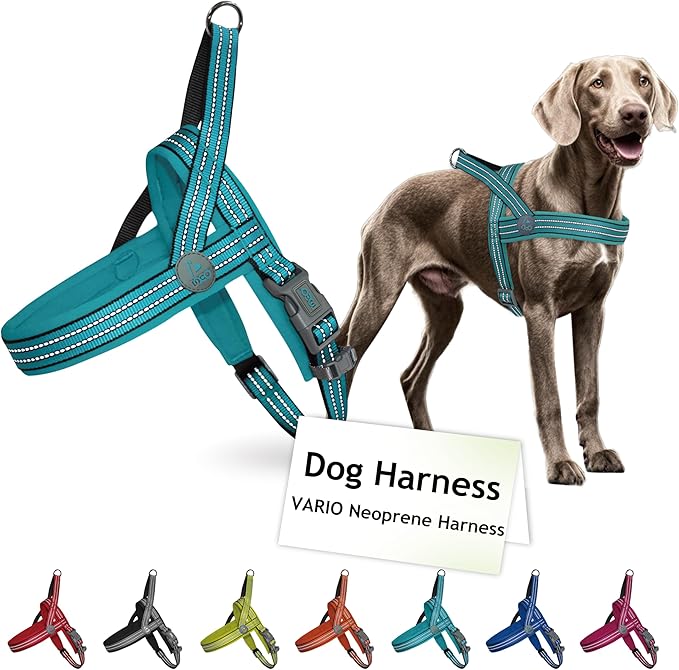 DOCO No-Pull Dog Harness Halter Reflective Easy-Control Harness for Training, Walking, and Preventing Pulling, Ideal for X-Large Dogs(Turquoise)-PawvioPets