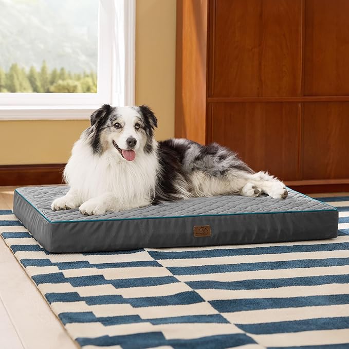 Bedsure Orthopedic Dog Bed for Extra Large Dogs and Crate - Thick Memory Foam Pet Mattress with Removable Washable Cover and Egg Crate Foam, Suitable for Pet Up to 100 lbs, XL 41x29x4 Inches, Grey-PawvioPets