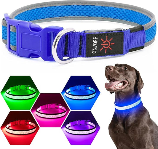 Flashseen LED Dog Collar, Light Up Dog Collar USB Rechargeable, Brightest Dog Lights for Night Walking, Adjustable Dog Collar Light for Dog Safety(Medium, Royal Blue)-PawvioPets