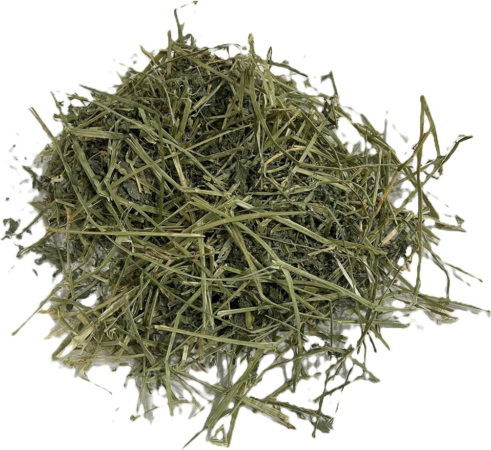 Blue Mountain Hay | Fresh Alfalfa Hay (24 Ounce) | High Leaf Retention | Nutritious High-Altitude Hay Pet Food for Rabbits, Guinea Pigs, Chinchillas, Hamsters, and Other Small Pets-PawvioPets