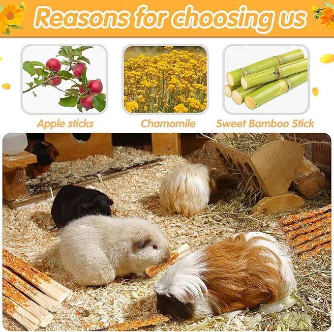 Apple Sticks for Rabbits, Natural Bunny Chew Toys Wood Treats Food for Small Animals,Hamsters, Chinchillas Squirrel Bunny Guinea Pigs Small Pet Apple Chew Sticks-PawvioPets