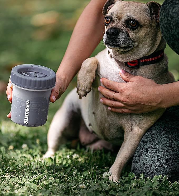 Dexas MudBuster Portable Dog Paw Cleaner, Premium Quality Small Light Gray Pet Accessory-PawvioPets