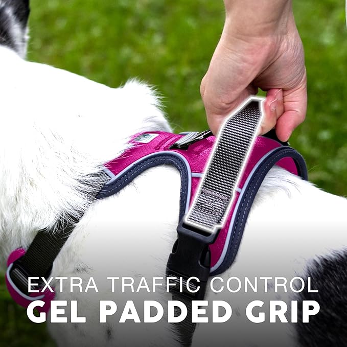 Embark Adventure Dog Harness, Reflective Trim XL Dog Harness for Extra Large Dogs No Pull - Military Grade Nylon, 2 Leash Clips & Gel Lined Handle.-PawvioPets