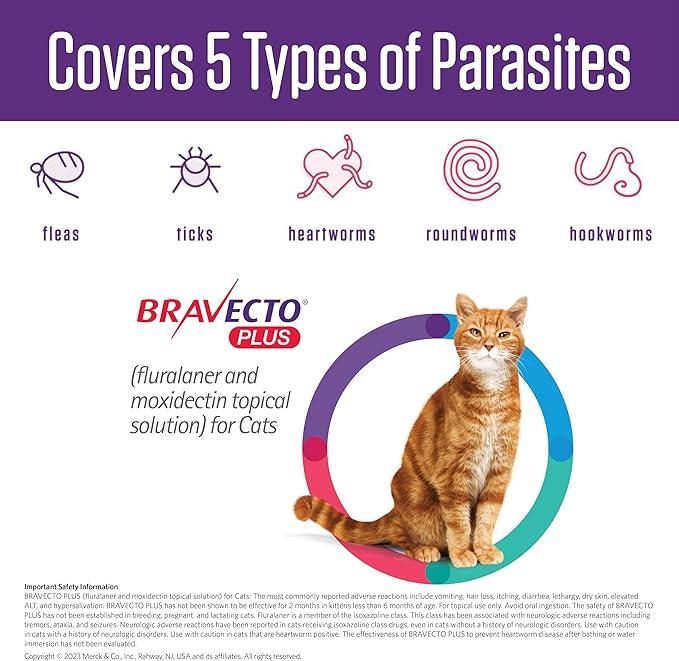 BRAVECTO Plus Topical Solution for Cats, Flea, Tick & Heartworm, 2 Months Supply, 2.6-6.2 lbs., Green Box-PawvioPets