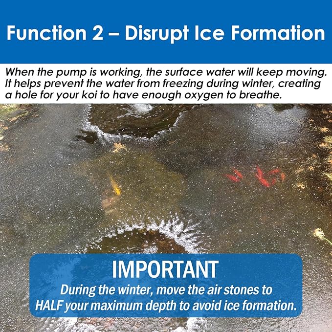 AquaMiracle All-in-One Koi Pond Aerator for Outdoor Ponds up to 1500 Gallons, Pond Air Pump Pond Aeration System with 2-Outlet Manifold Airline Tubing Air Stones Check Valves-PawvioPets